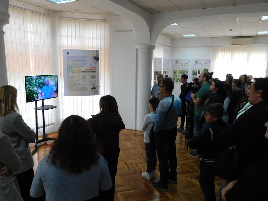 VILINSKI KONJICI SRBIJE: Izložba na manifestaciji ''Dani Jovana Cvijića'' (FOTO)
