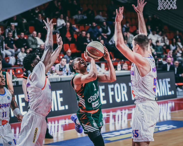 ZMAJEVI SLAVILI U LAKTAŠIMA: Cedevita Olimpija bolja od Igokee u ABA ligi
