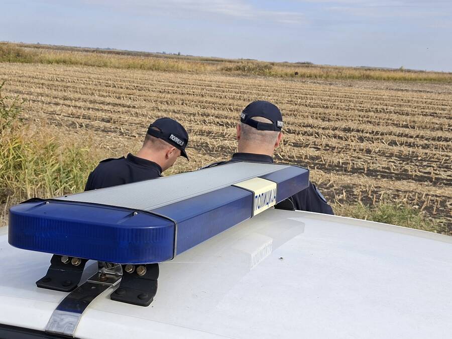 Egzotična životinja koja je napravila haos u Banatu pobegla iz Rumunije! Usledila filmska potera kod Kikinde - Vlasnik je uhvatio nasred njive