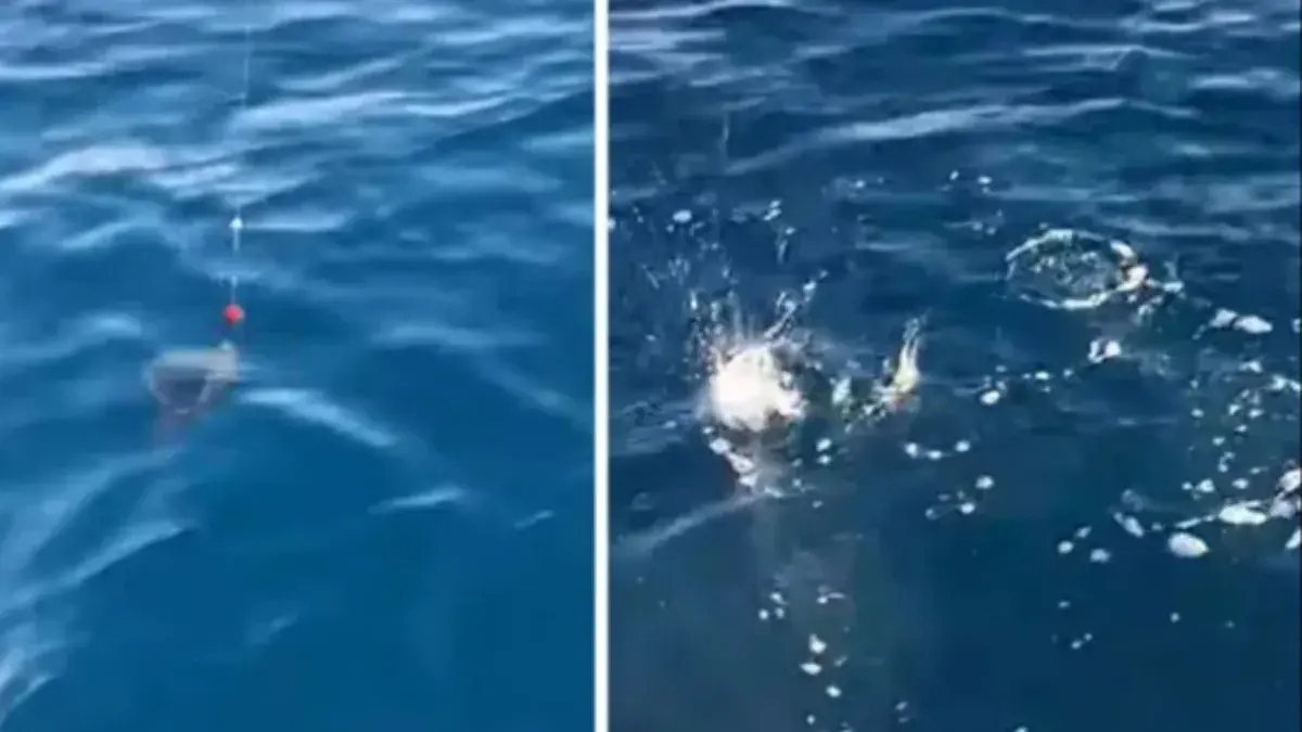 RIBOLOVAC IZVUKAO NEŠTO SA 33 METRA DUBINE, PA OSTAO U ŠOKU! Nije mogao da veruje šta mu se zakačilo za udicu (VIDEO)