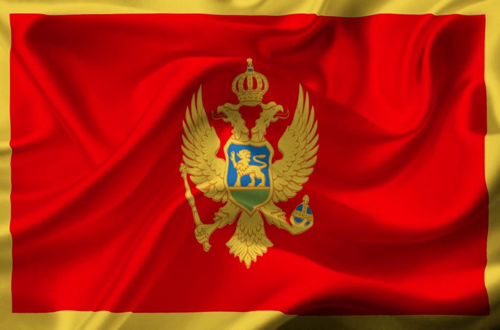 PES UDARIO NA KNEŽEVIĆEV DNP! Vaša podrška Srđanu Periću je 