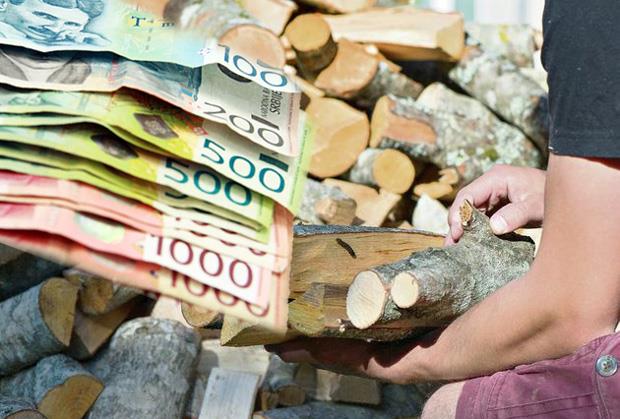Ko sad kupi drva, može dobro da uštedi! Evo koliko sada koštaju bukva, hrast, cer i bagrem - detaljni cenovnik