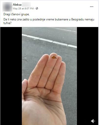 bubamara-foto-fb-printscreen-divlji-beograd-2.jpg