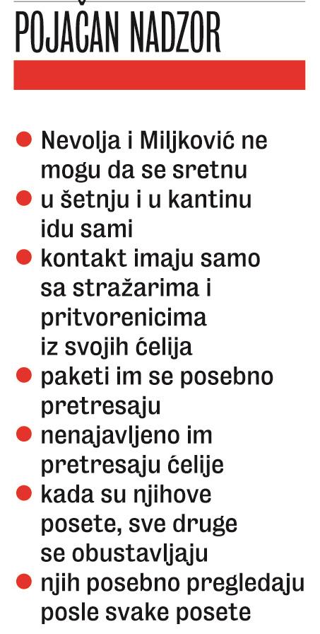 infografika.jpg