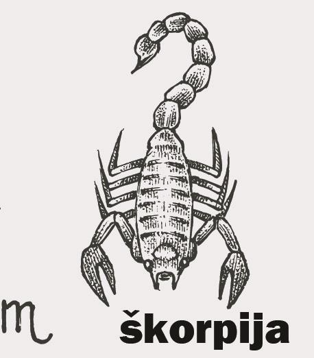 skorpija.jpg