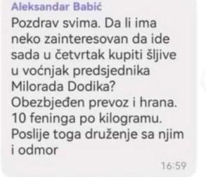 dodik.jpg