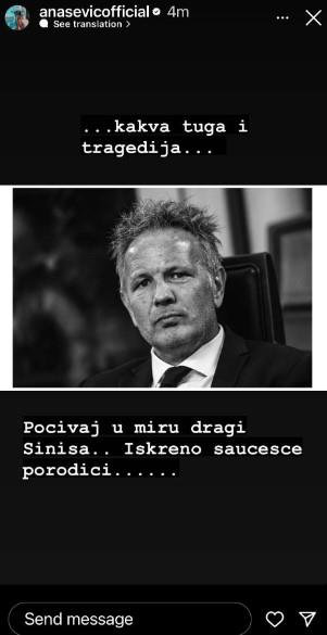 sinisa.jpg