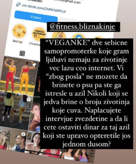 fitnes-bliznakinje2.jpg