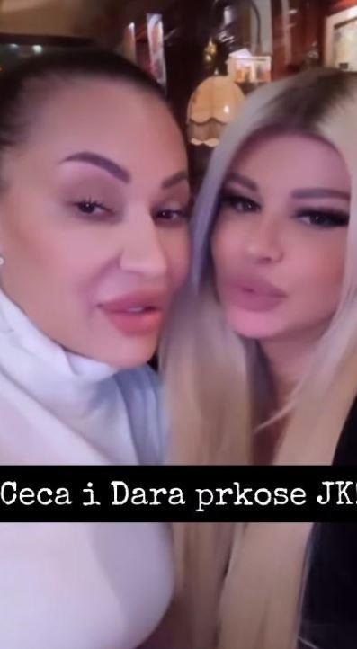 jelena-karleusa.jpg