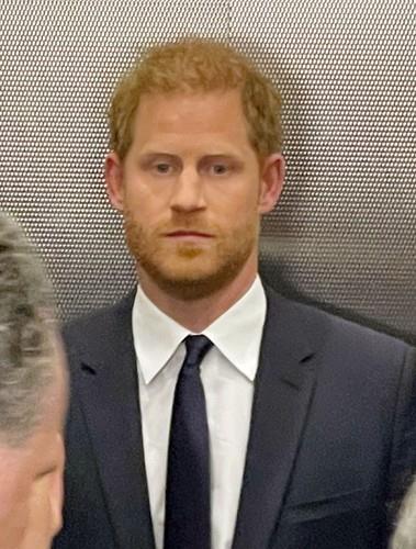 princ Hari zamišljen