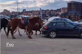 zlatibor.jpg