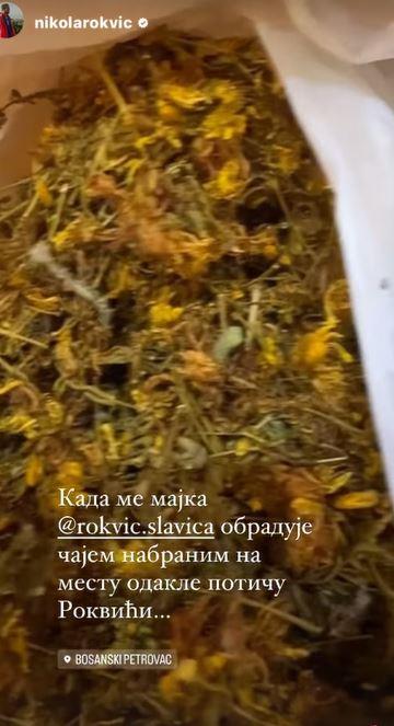 20240820-15-24-39slavica-rokvic--rokvic.slavica--instagram-photos-and-videos.jpg