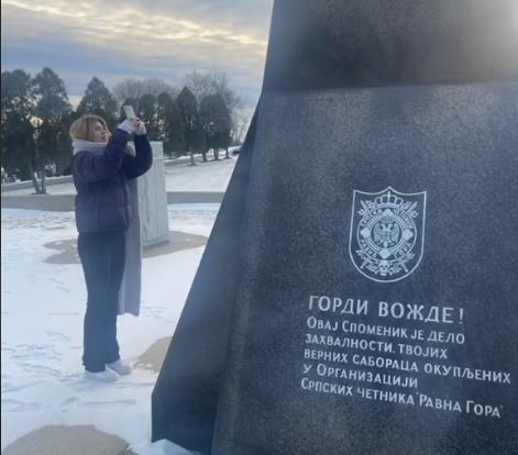 Mina Živanović 3.png