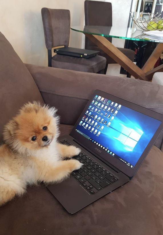 2025-01-13 08_02_40-Instagram.jpg