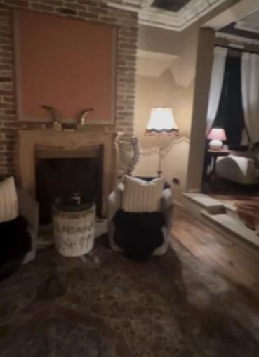 Elena Karaman sve začudila dekoracijom dnevne sobe