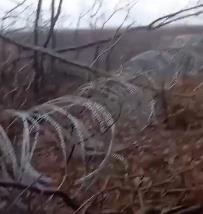 Screenshot 2025-01-15 141609.jpg