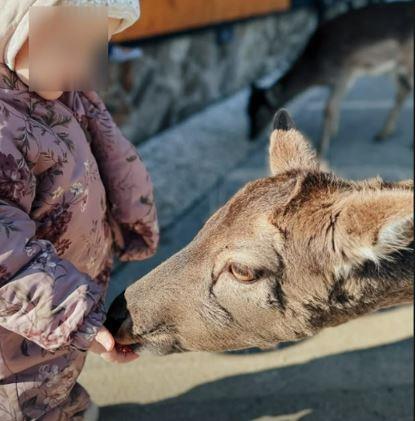 Bojana Barović napustila Srbiju