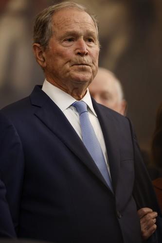 dzordz v bus profimedia-0955739333.jpg