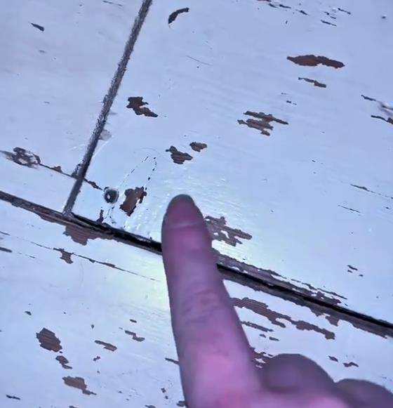 Devojka ispod parketa pronašla knjigu (2).jpg