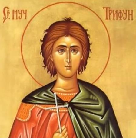 Sveti Trifun