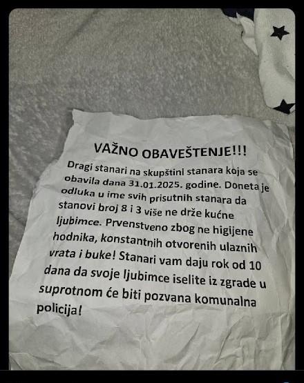 zabranjeni psi u zgradi.jpg