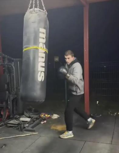 Veljko Ražnatović preuredio dvorište u Titelu