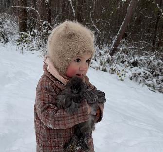 Screenshot 2025-02-25 093217.png