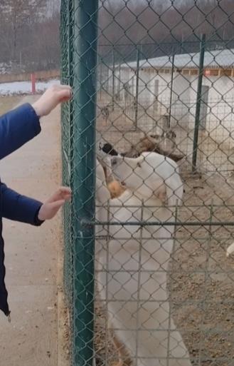 2025-02-27 13_03_43-Facebook.png