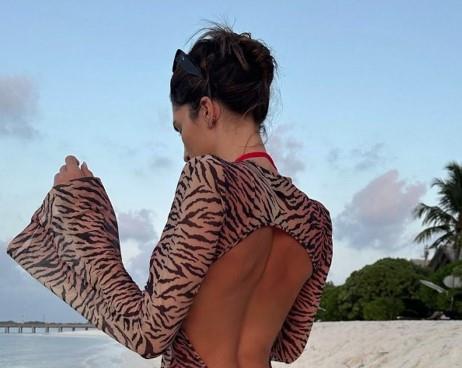 Jelisaveta Orašanin