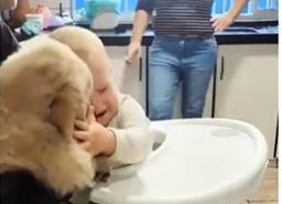 Prvi susret bebe i šteneta 1.jpg