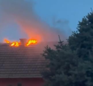 Screenshot 2025-03-21 193104.jpg