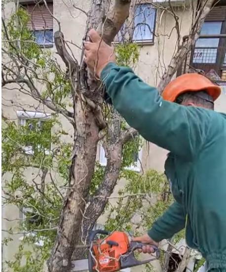 Screenshot 2025-03-24 151628.jpg