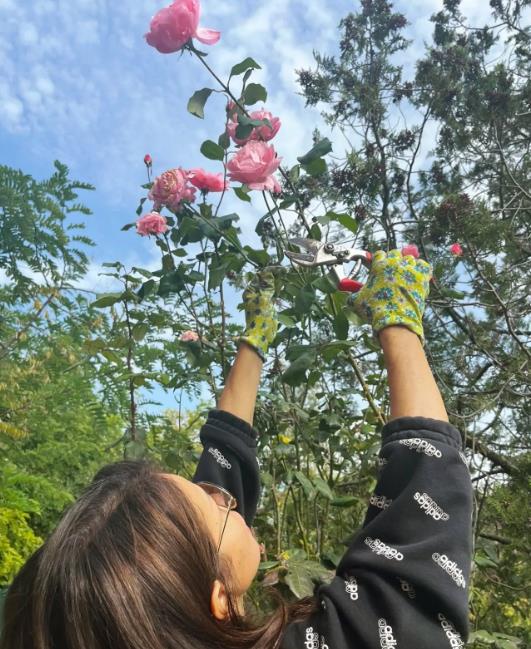 Jelena Bačić Alimpić Fruška Gora (1).jpg