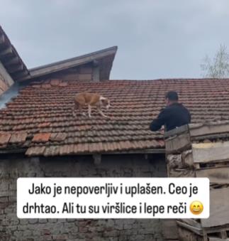 Screenshot 2025-04-04 185251.jpg