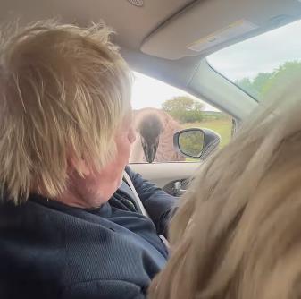 Boris Džonson 2.png