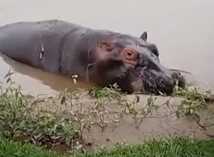 Screenshot 2025-04-08 194350.jpg