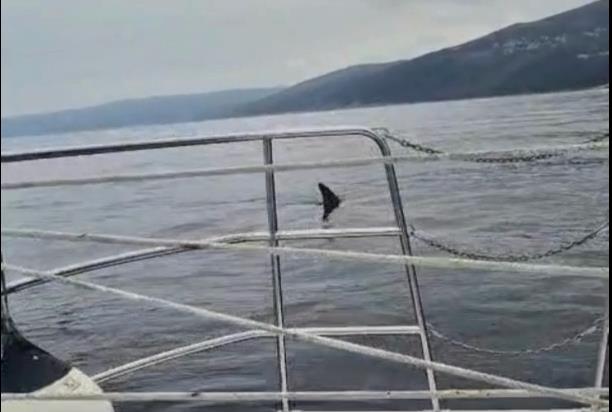 Screenshot 2025-04-14 091001.png