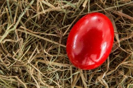 crveno jaje.jpg