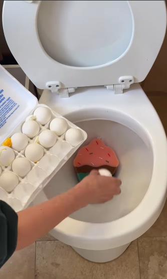 wc šolja.png
