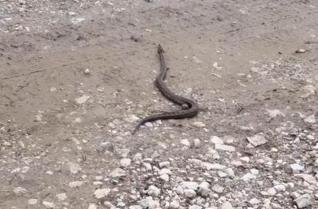 Screenshot 2025-04-22 143612.jpg