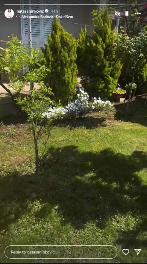 Nataša Ninković 5.jpg