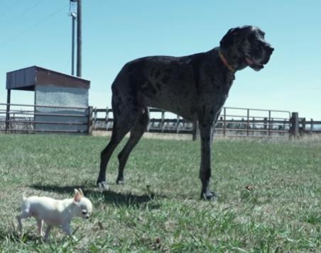 Screenshot 2025-05-02 193926.png