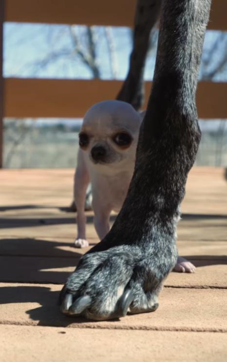 Screenshot 2025-05-02 193912.png