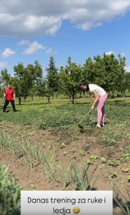 Žena Darka Lazića kopa po njivi