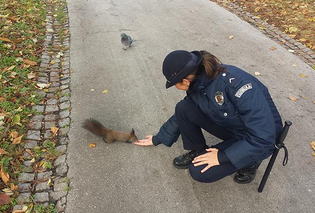 policajci-i-veverica.jpg