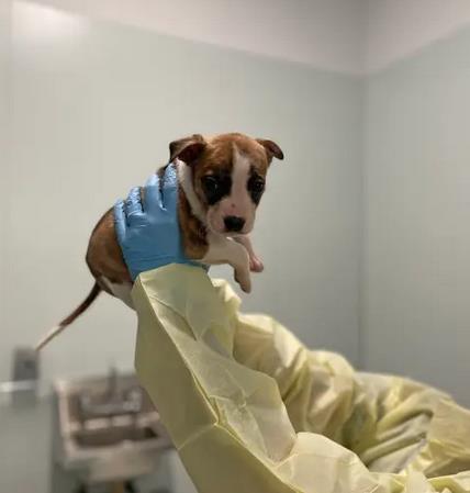 Screenshot 2025-05-30 160647.jpg