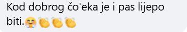 vučjak 1.jpg