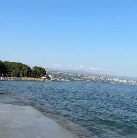 Zoran Pejić Peja otišao na odmor i ugasio telefon