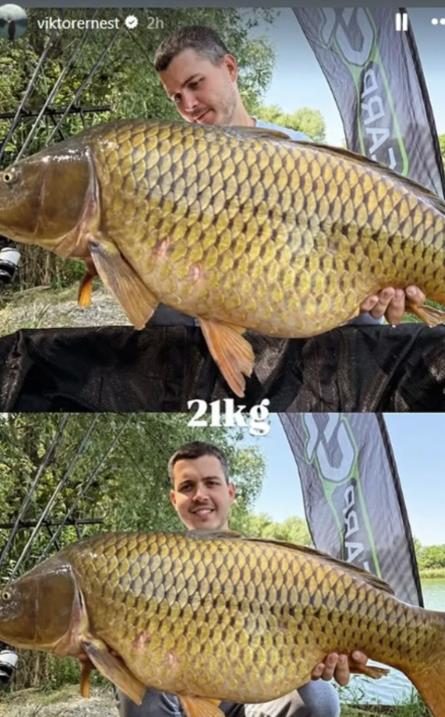 vikt zivojj.jpg