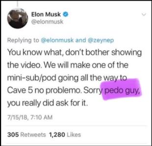 Ilon Mask, pedo guy tvit.jpg